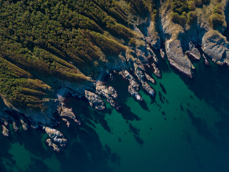 Aerial view of the rocky, wild coast of the Black Sea in Bulgaria, with cliffs, beaches, and green forests