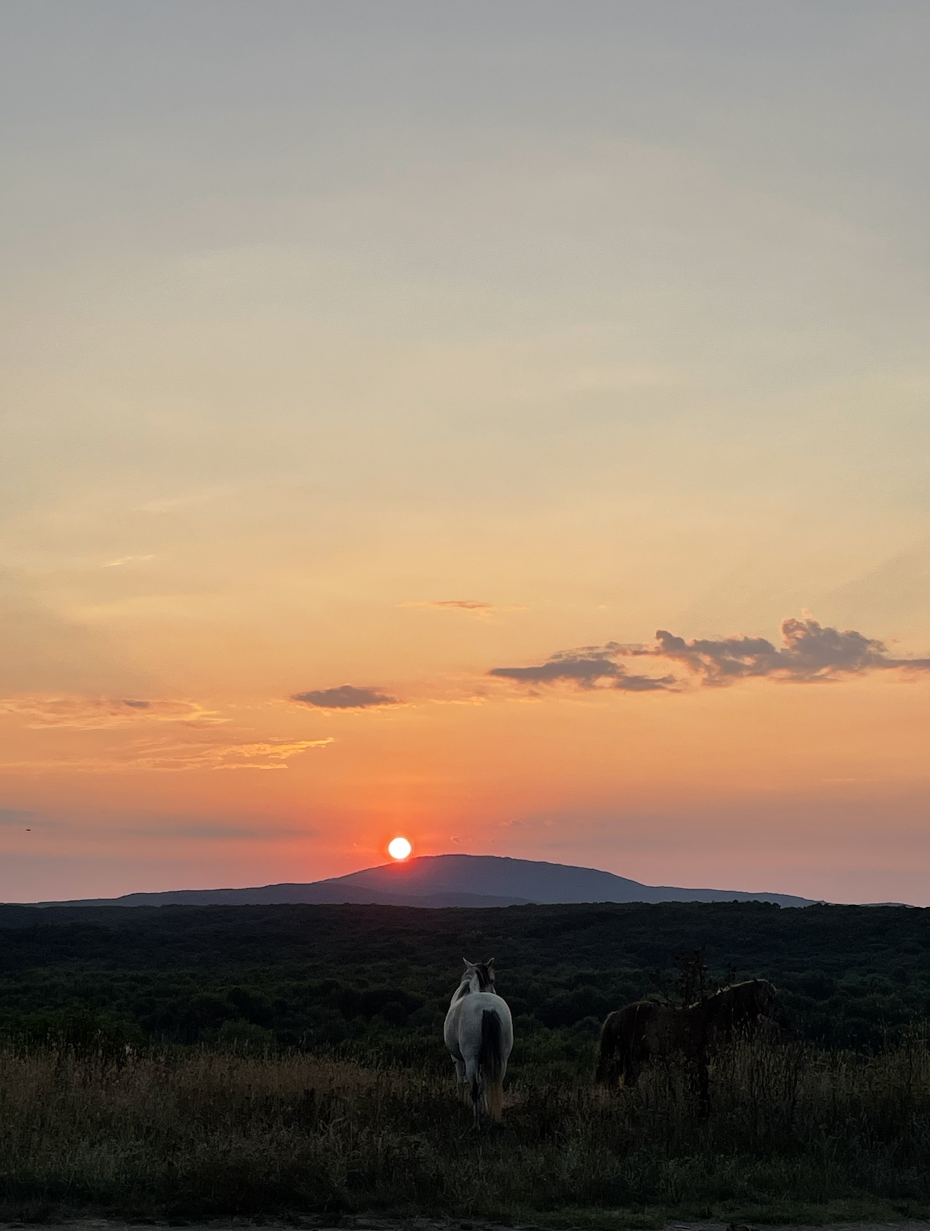 Screenshot 2025-04-20 at 19.26.35